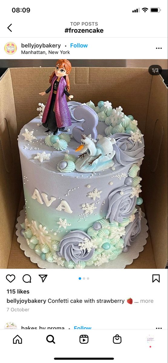 a frozen princess cake in a box on instagram