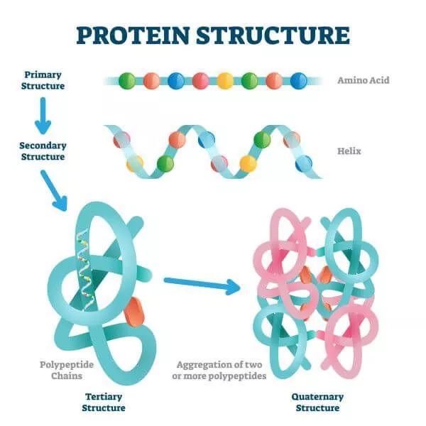 an image of the structure of a protein structure with different types of structures in it