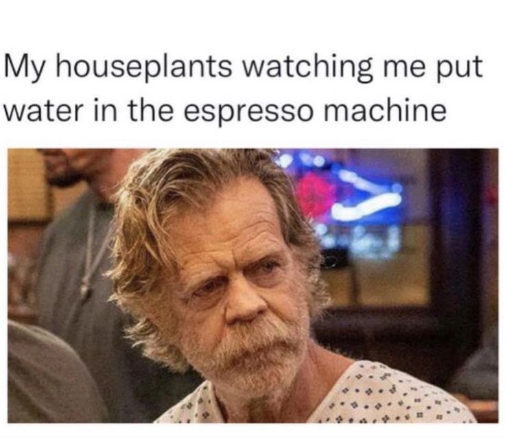 an older man with long hair and beards is looking at the camera while wearing a t - shirt that says, my houseplants watching me put water in the espresso machine