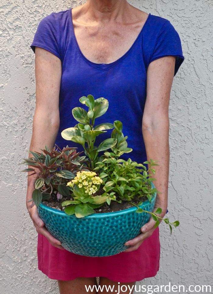 an older woman holding a blue bowl filled with succulents and other plants