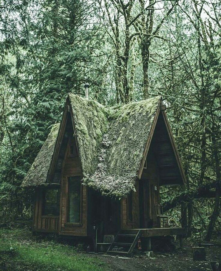 a small cabin in the woods with grass on its roof and stairs leading up to it