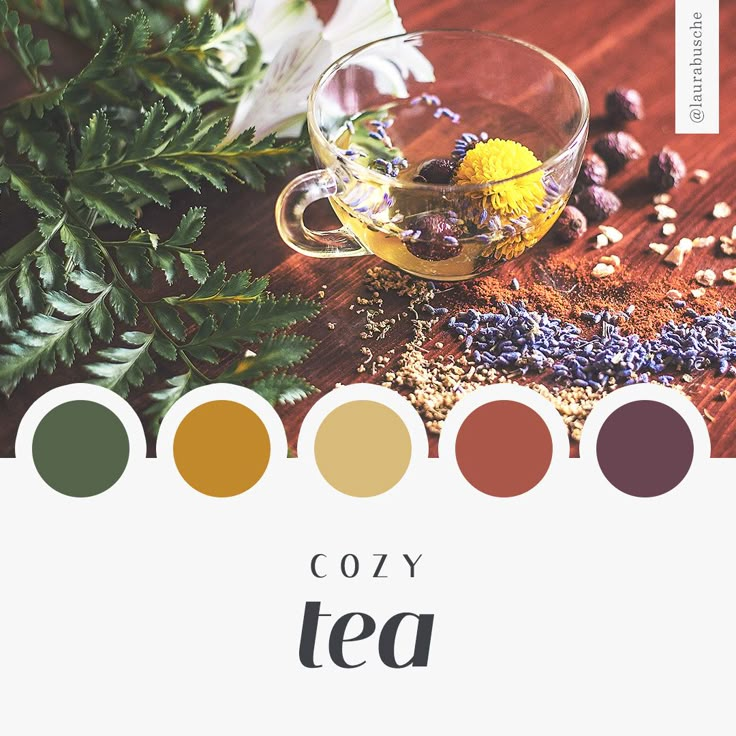 the cover of cozy tea, featuring herbs and spices