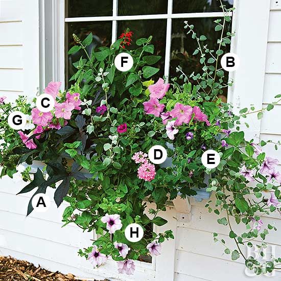 a window sill with flowers and letters on it