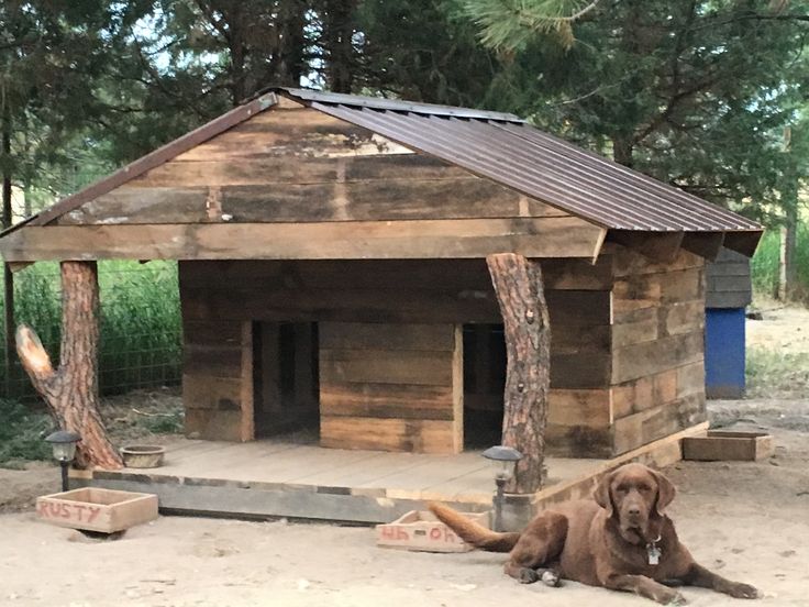 a dog laying on the ground in front of a small wooden structure with a metal roof