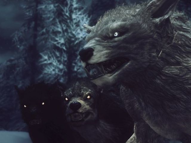 two wolfs are standing next to each other in front of some trees and snow