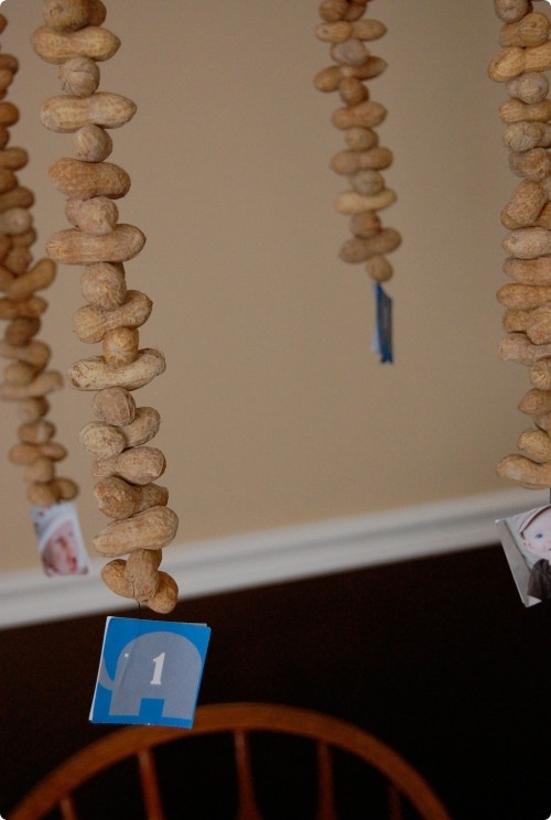 some kind of food hanging from the ceiling in front of a chair and table with an elephant stick on it