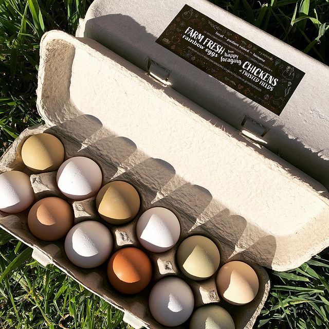 an egg carton filled with different colored eggs