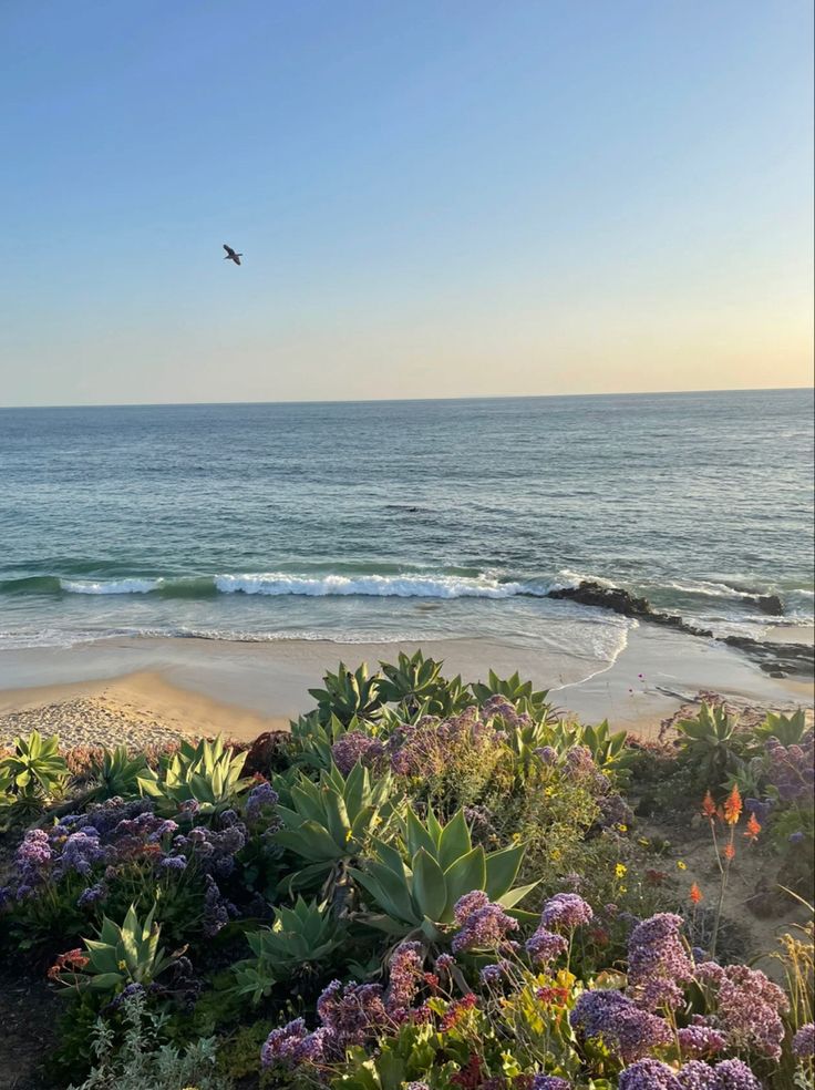 a bird flying over the ocean with purple flowers