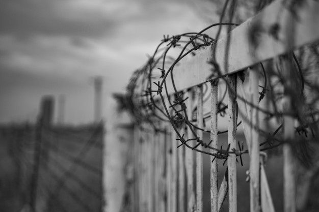 black and white photo of barbed wire on top of a fence