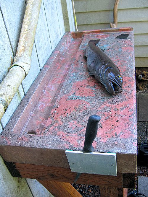 a fish is laying on top of a piece of wood and an object in the background