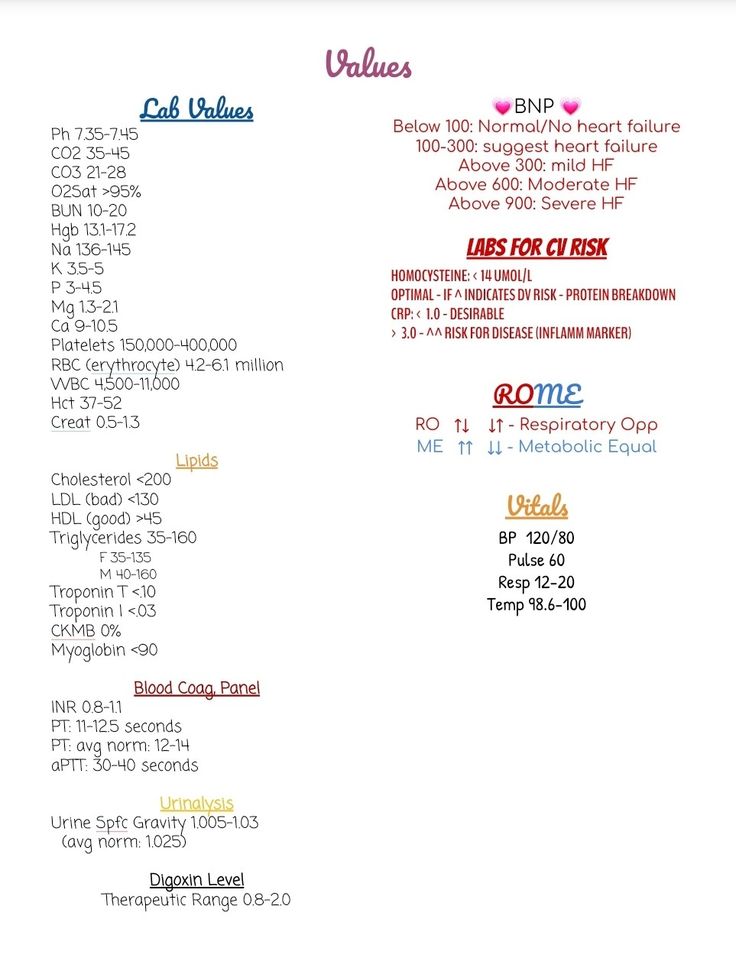 the menu for an event is shown in red, white and blue colors on a white background