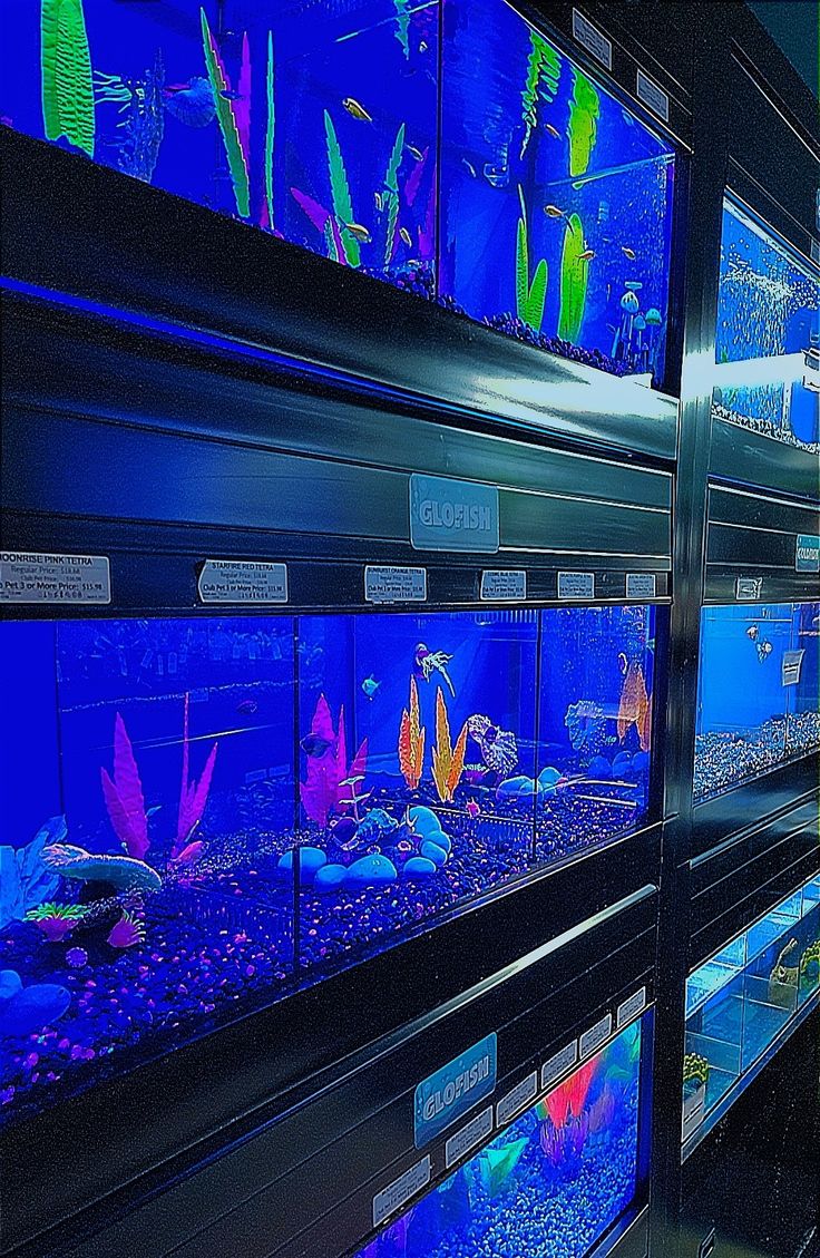 an aquarium filled with lots of different types of fish in it's display cases