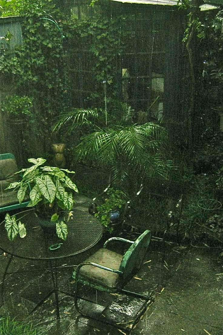 a table and chairs in a small backyard area with plants growing on the wall behind them