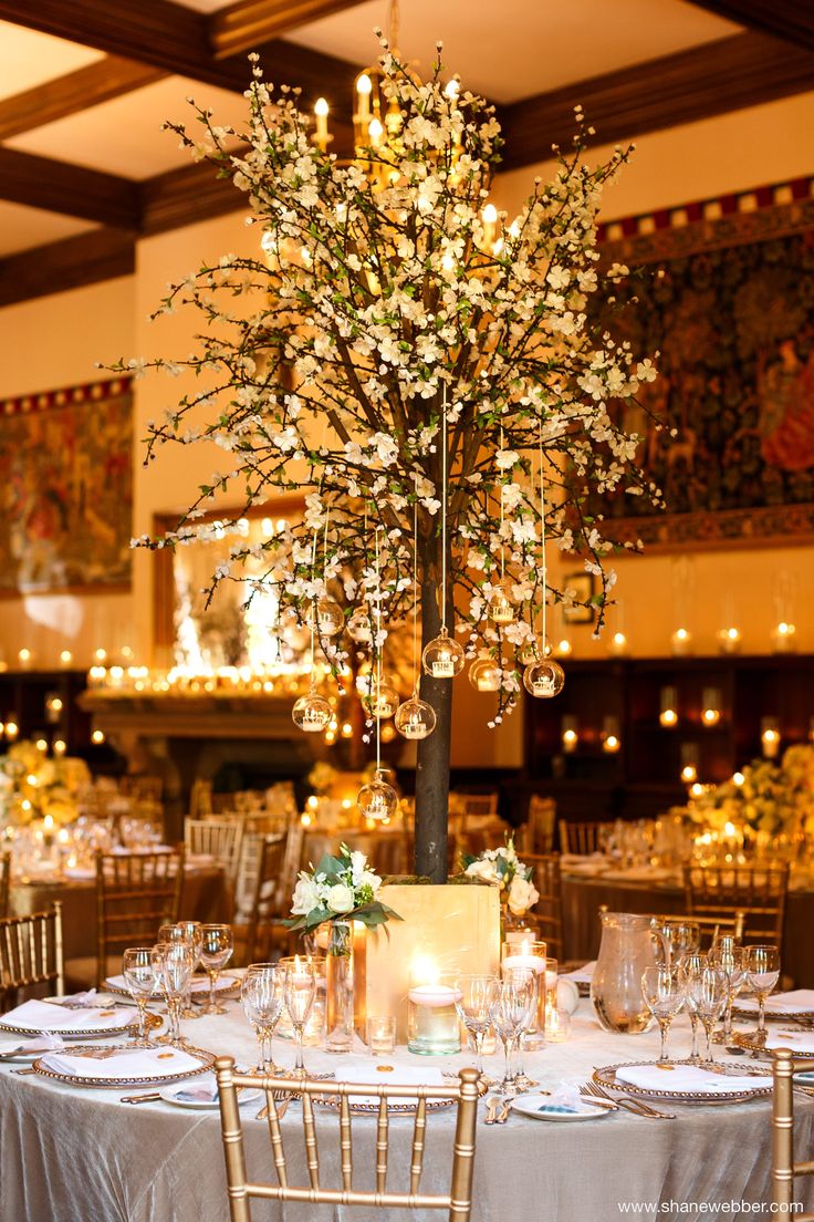 Wedding breakfast setup with candles, lit trees, and flowers Peckforton Castle, Summer Wedding Photography, Colourful Style, Dream Day, Wedding Team, Castle Wedding, Wedding Coordinator, Wedding Centerpieces, Summer Wedding