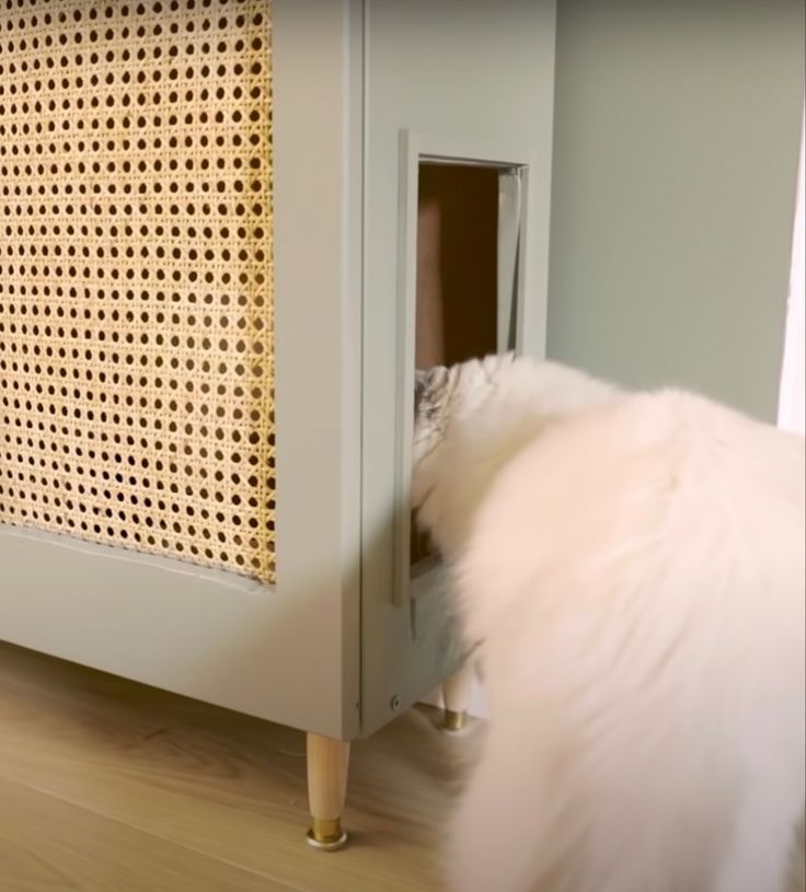 a white dog standing next to a wooden cabinet