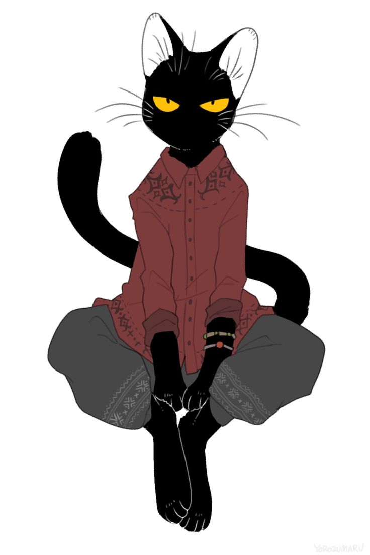 a black cat with yellow eyes sitting on top of a person's leg and legs