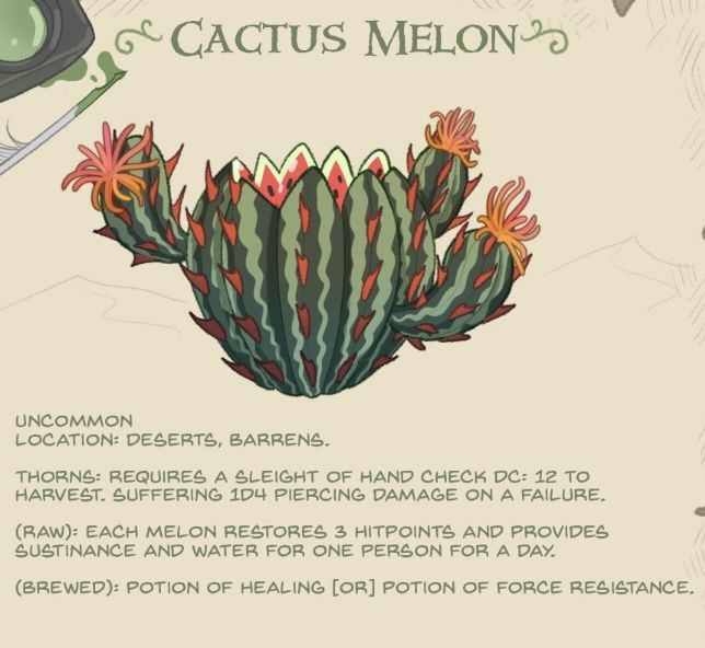 a cactus with some writing on it next to a pen and inkwell, which is also labeled as cactus melon 3