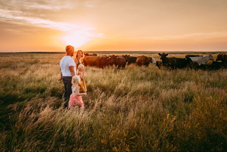 a man and woman standing in the middle of a field next to cows at sunset