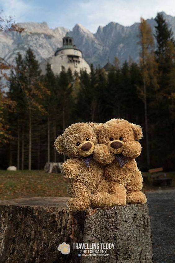 two brown teddy bears sitting on top of a tree stump in front of a mountain