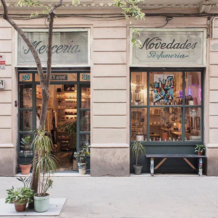 a store front with plants and potted trees on the sidewalk