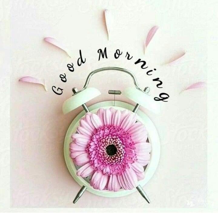 an alarm clock with a pink flower in the center and words on it that say good morning