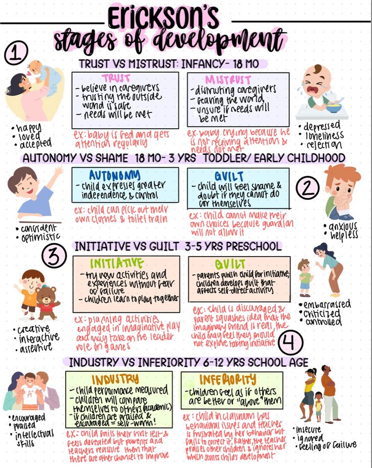 an info sheet with different types of children's education and the words ericson's stages of development