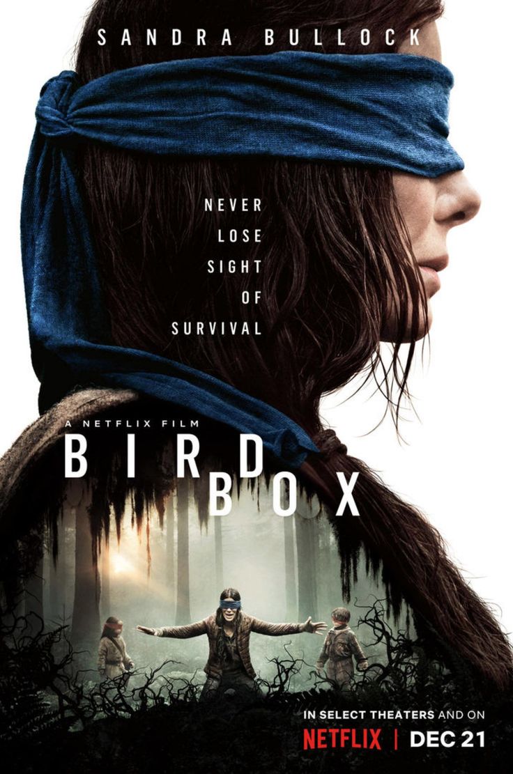 the bird box movie poster with a woman wrapped up in a bandana and looking into the distance