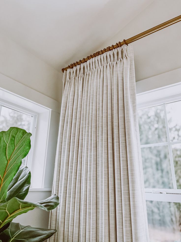 there is a large green plant in front of the window with white curtains on it