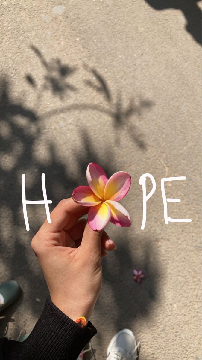 a person holding a flower with the word hope written on it