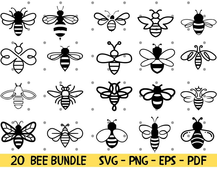 bee bundle svt - png