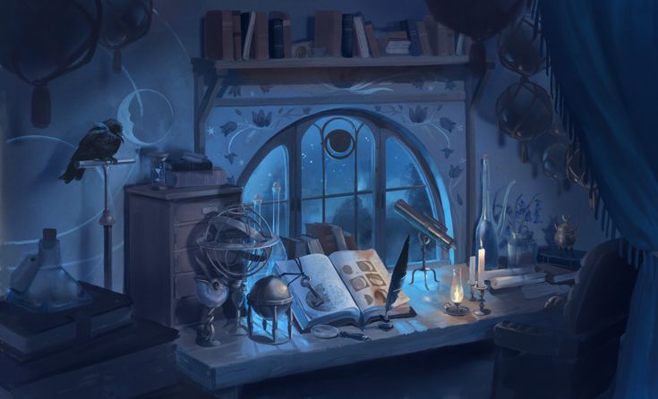 a room filled with lots of books next to a window covered in blue drapes