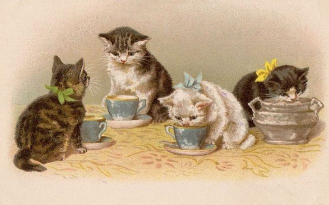 three kittens are sitting at a table with tea cups