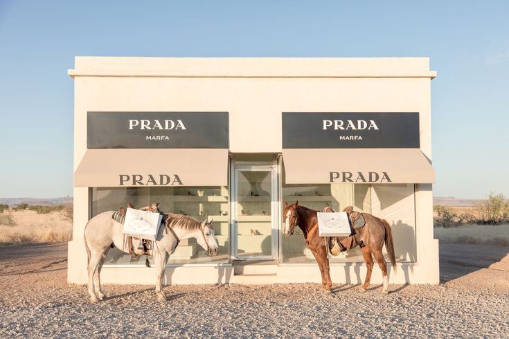 two horses are standing in front of a prada store