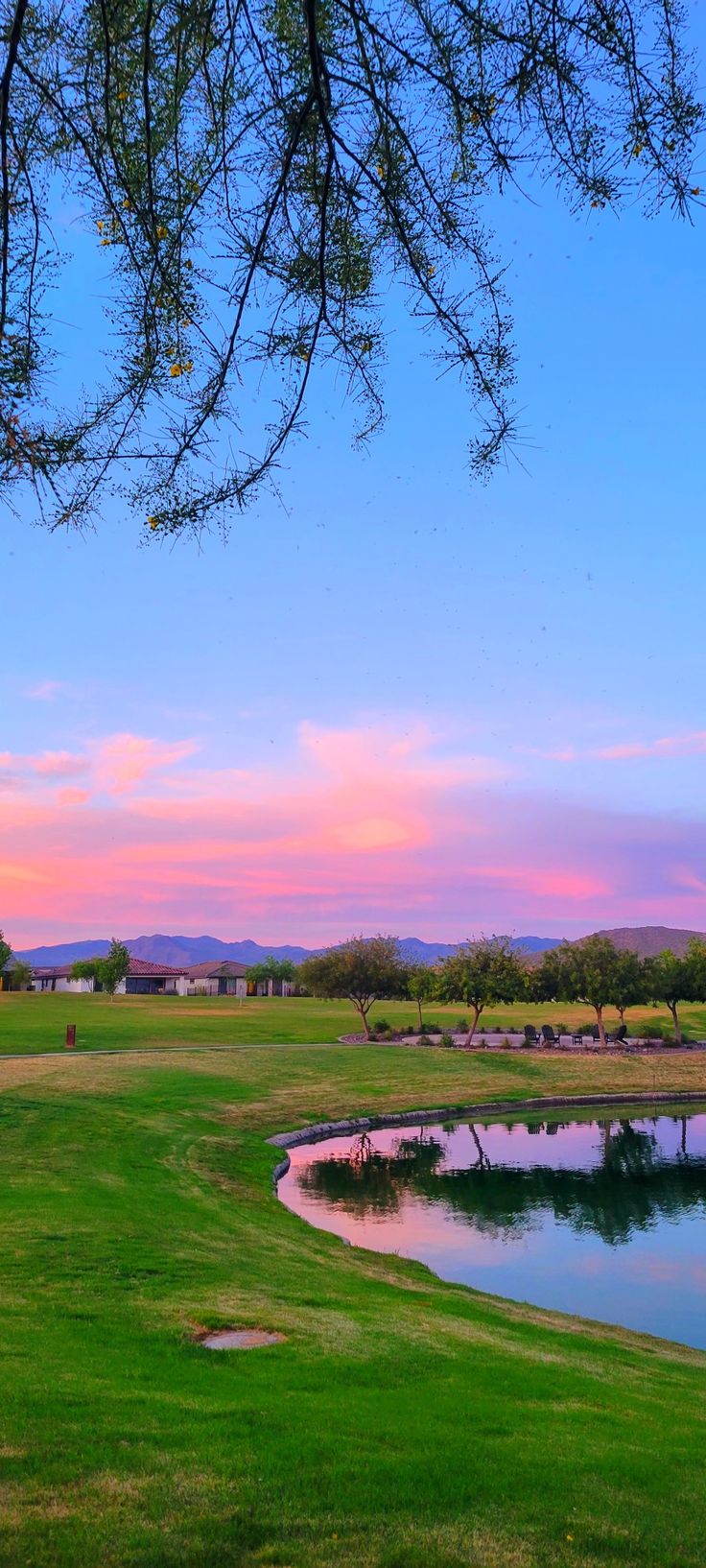 the sun is setting over a golf course with water and trees in the foreground