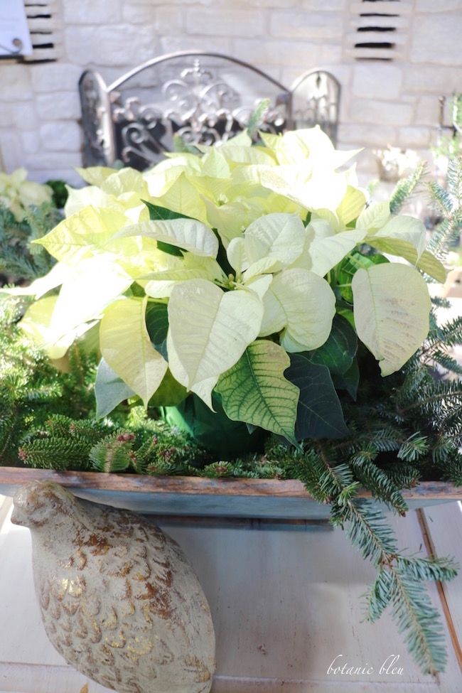 a potted plant sitting on top of a table next to a stone vase filled with flowers