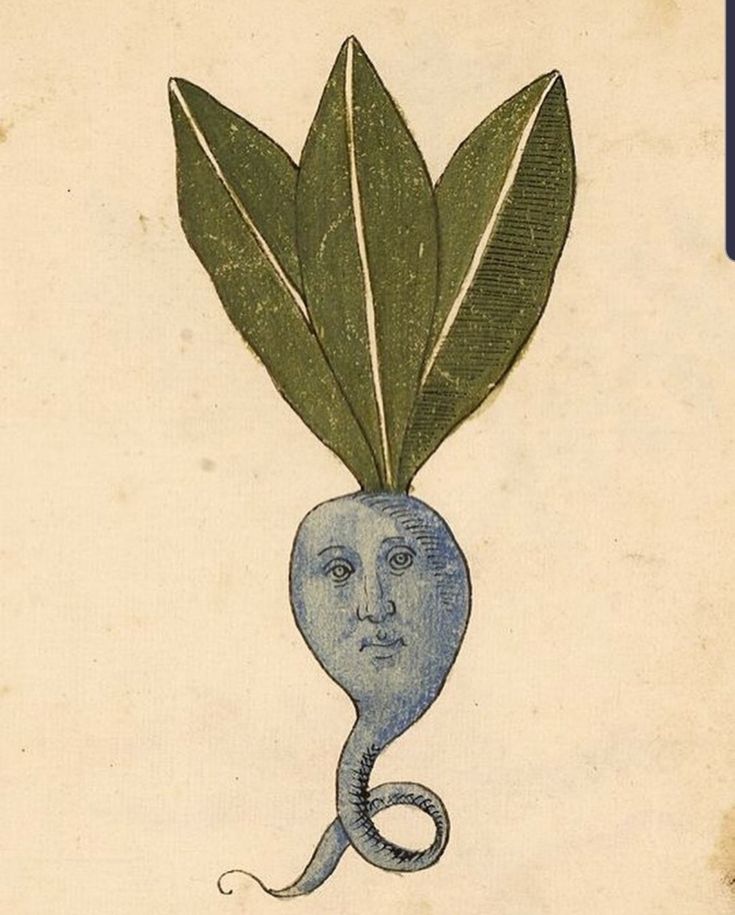 an illustration of a blue vegetable with leaves on it's head and the end of its tail curled up