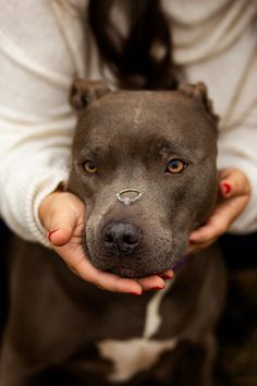 a person holding a dog in their hands