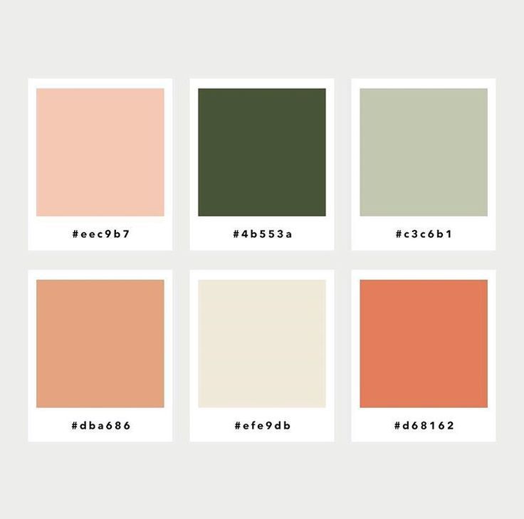 the color palette is shown with different shades and colors for each one, including peach, green