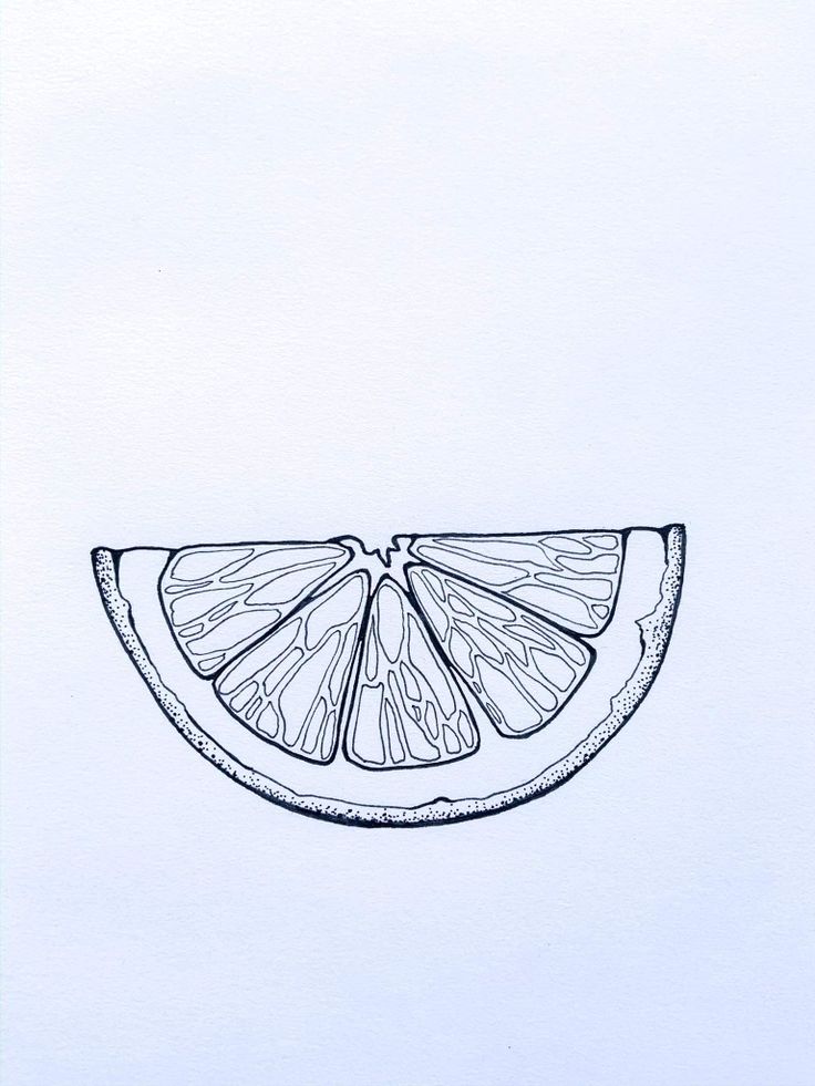 a drawing of a slice of grapefruit