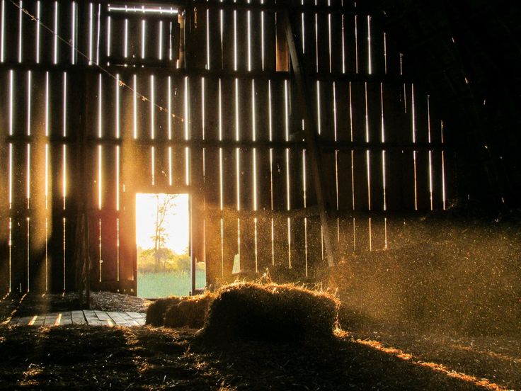 an open barn door with hay in the foreground and sunlight streaming through the window