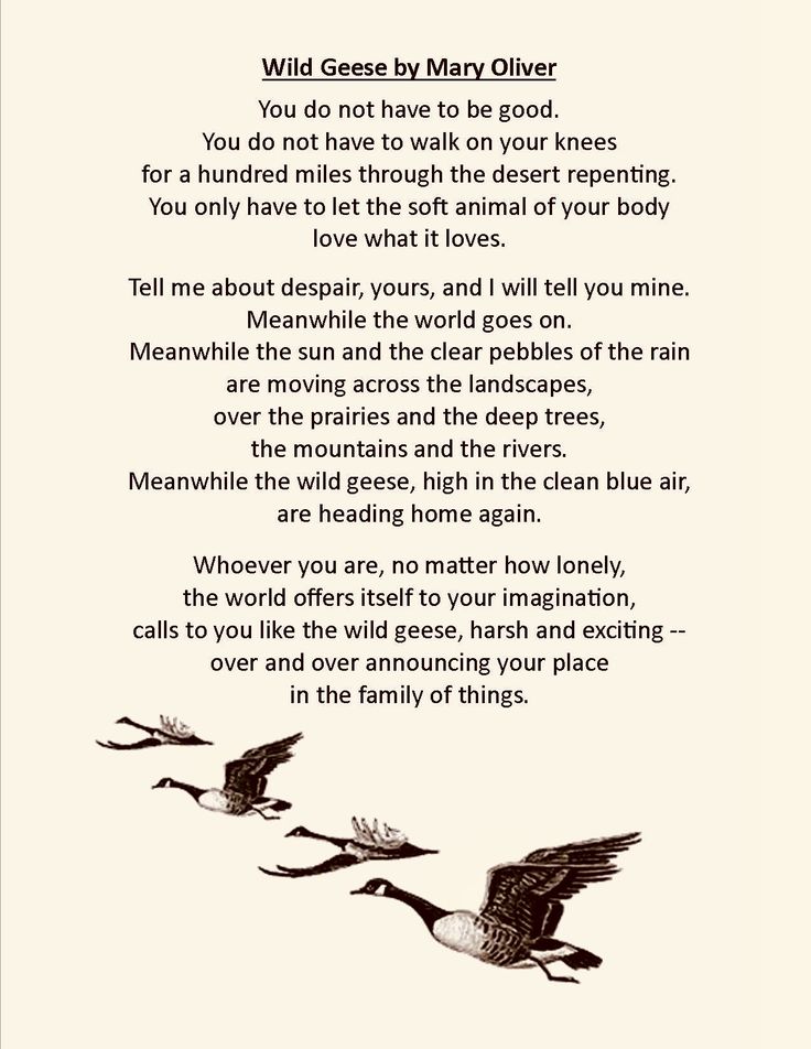 a poem written in black and white with two birds flying over the top of it