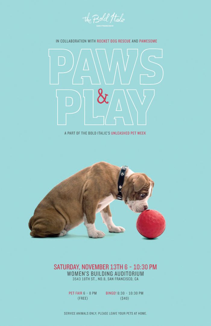 a poster for paws and play with a dog playing with a ball