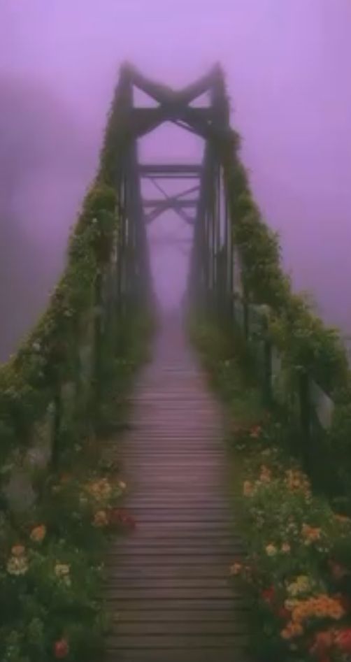 a bridge that is covered in vines and flowers on a foggy day with the light coming through