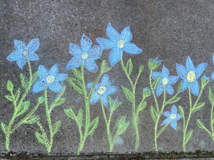 some blue flowers are drawn on the sidewalk by chalk pastel and colored pencils