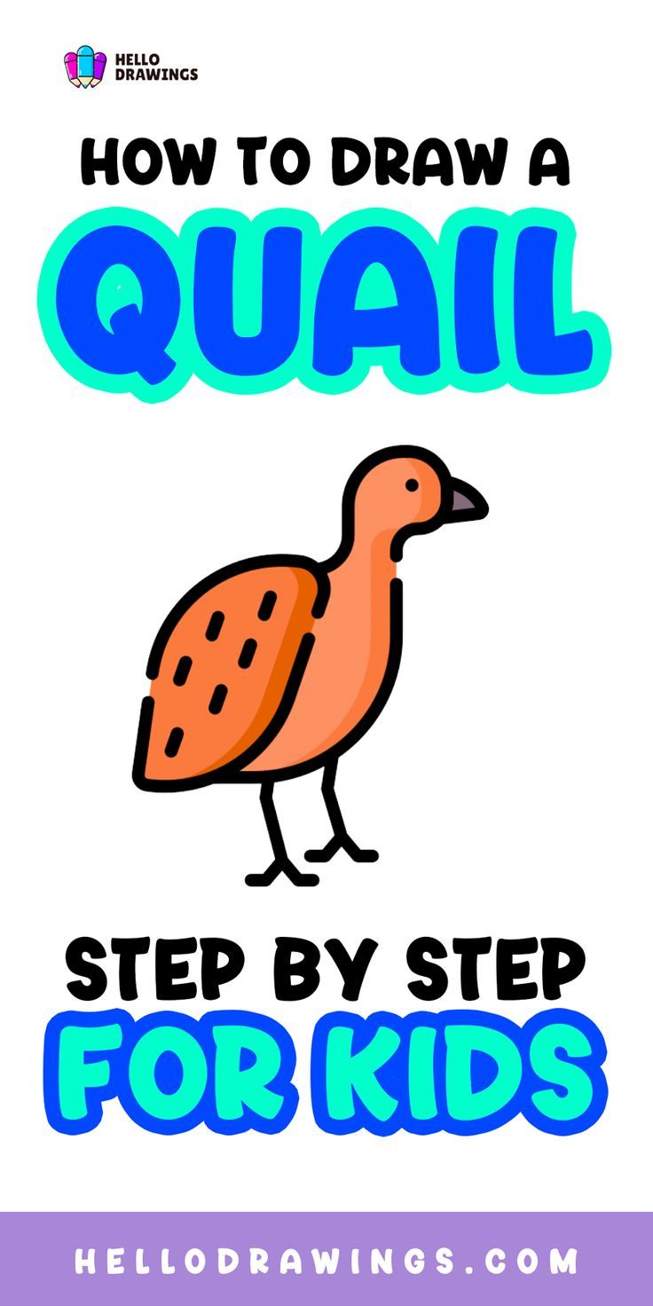 How to Draw a Quail | Simple Guide for Kids Quail Drawing, Animal Drawing Tutorial, Easy Animal Drawings, Easy Animals, Drawing Tutorials For Kids, Drawing Guide, Easy Drawings For Kids, Animal Drawing, Drawing Tutorial Easy