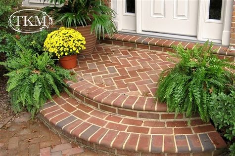 two potted plants sitting on the side of a brick step next to a door