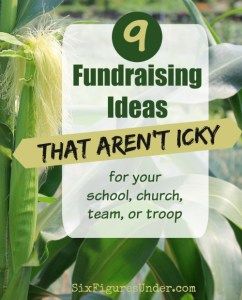 a corn field with the title saying, 9 fundraiser ideas that aren't icy for your school, church, or troop