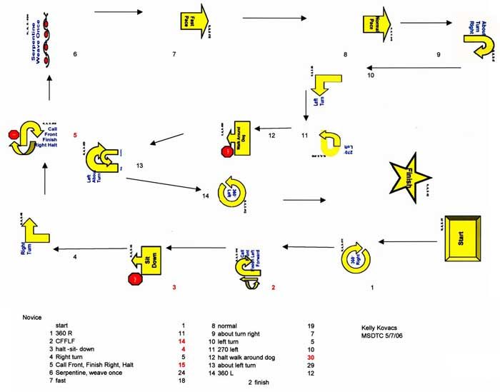 the diagram shows how to play with each player in this game, and where they are going