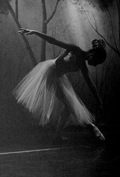 a ballerina is dancing in the dark woods