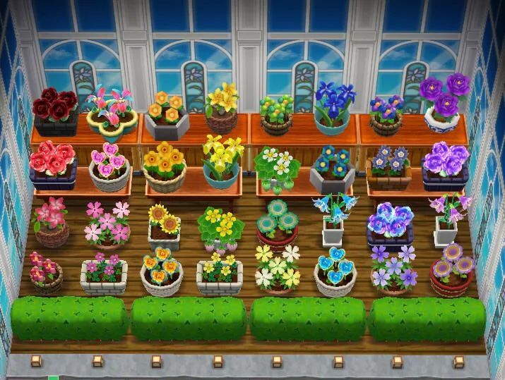 an aerial view of a flower shop with many flowers in pots and plants on the shelves